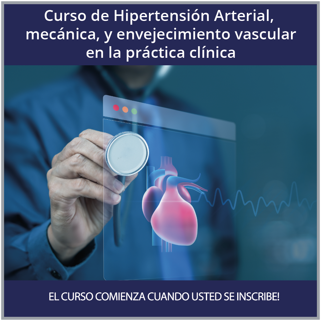 Querés conocer todos nuestros cursos vituales